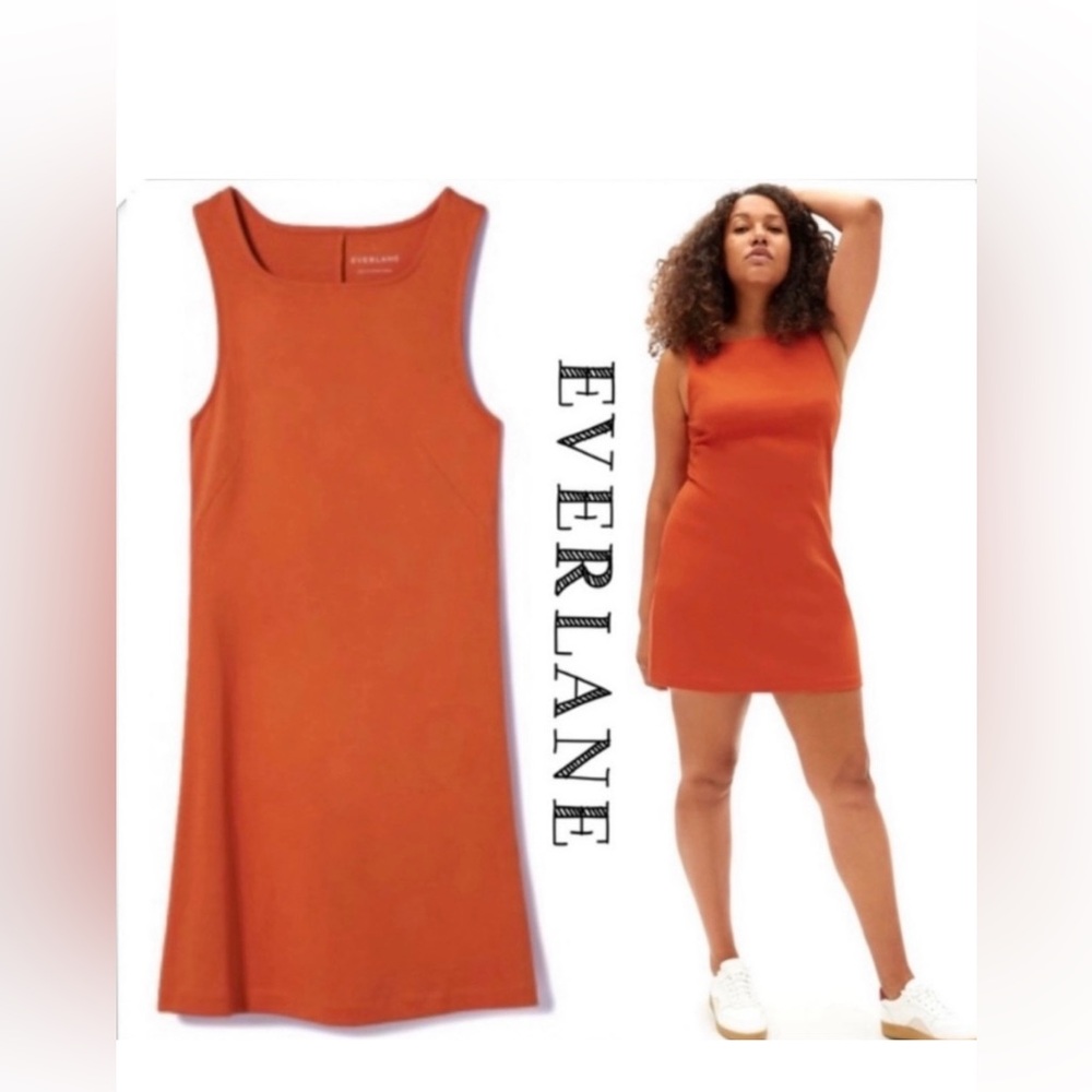 Everlane Orange Sheath Mini Dress for Work ZIZE L